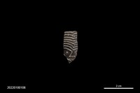 藏品(帶人面紋飾骨片)的圖片